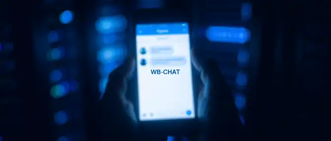 От корпоративного чата к рыночному гиганту: Wildberries готовит масштабный запуск собственного мессенджера